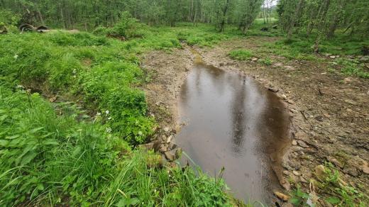 Obnovený potok na Šumavě