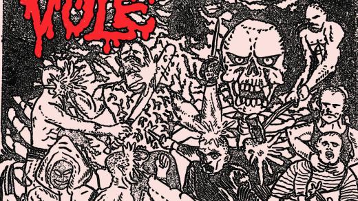 VOLE  - Tohle není prdel