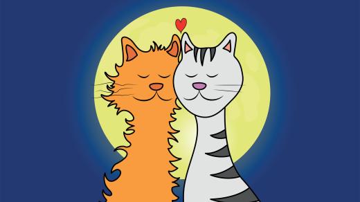 Pusťte si pěknou pohádku