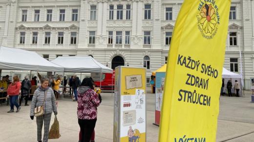 Den sociálních služeb v Táboře