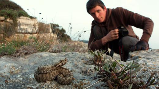 Martin Ertner se specializuje na focení plazů ve volné přírodě
