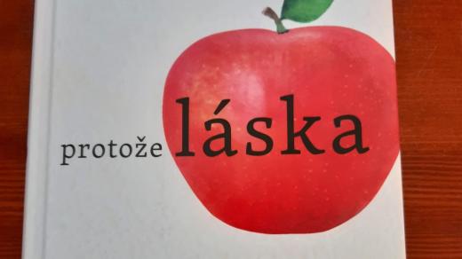 Kniha Protože láska, kterou napsala Zuzana Miškufová