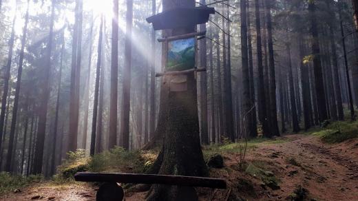 Obrázková cesta z Javořinky na Staré Hamry je dnes turistickým lákadlem
