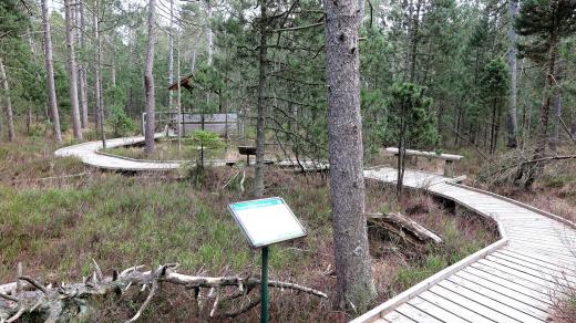 Povalový chodník je přizpůsoben i vozíčkářům a hůře pohyblivým turistům