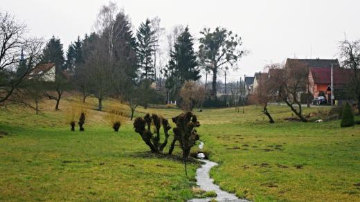 Páteří obce je tento malebný potůček a návesní niva