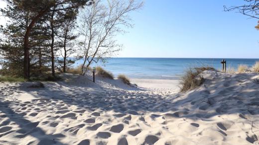 Balt láká každý rok víc turistů, kvetení vody ale může ohrozit jejich zdraví
