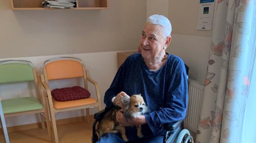 Kontakt s terapeutickým psem je balzám ro tělo i duši