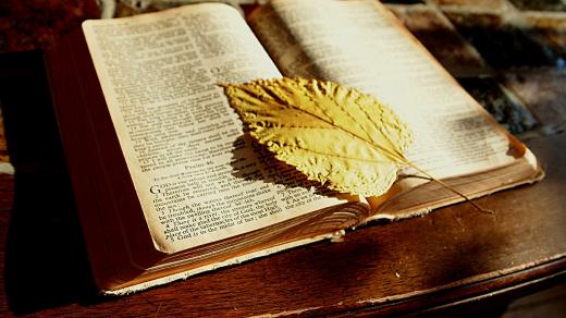 Kouzlo knižních záložek