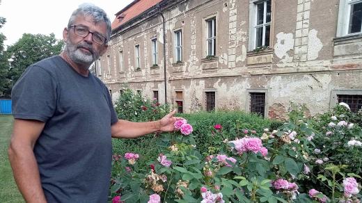 Růže na zámku v Nebílovech ukazuje zdejší kastelán Milan Fiala