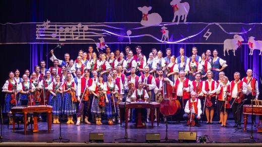 Soubor Javorník Brno