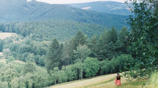 Písně polí, luk a strání