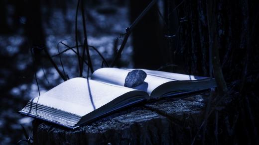 AI překlad bývá takový laminátový, příliš hladký, jenže literatura musí drhnout, říká překladatel