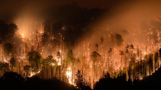 Požár v Českém Švýcarsku