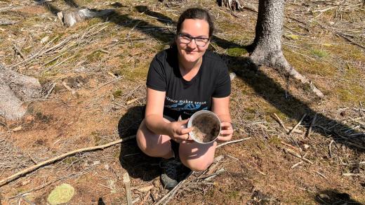 Entomoložka Markéta Davídková ukazuje past na klikorohy borové