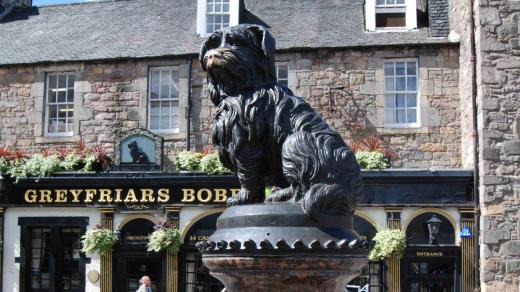 Socha skyteriéra Bobbyho