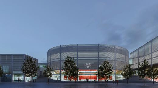 Horácký zimní stadion, návrh přestavby