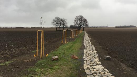 K pietnímu místu v Kunčí nově vede úzká kamenná cestička