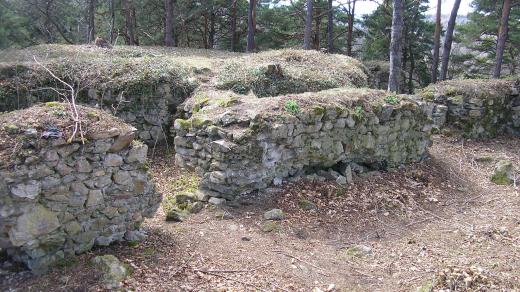 Palác hradu Osule po prořezávce v r.2012  