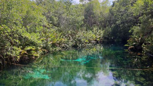 Cenote Xoonan-Ha na mexickém poloostrově Yucatán