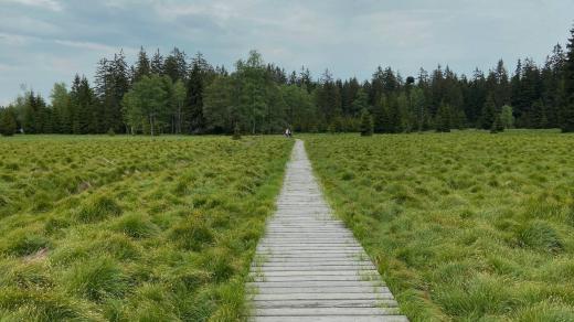 Naučná stezka začíná u Domu přírody a vede po dřevěném povalovém chodníku