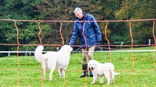 Farmářka Irena Kašeová se svými psy