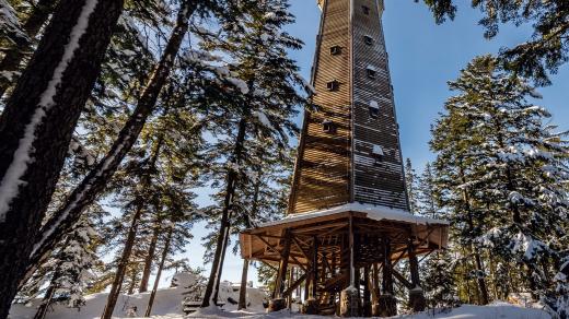 Sedlo u obce Albrechtice u Sušice