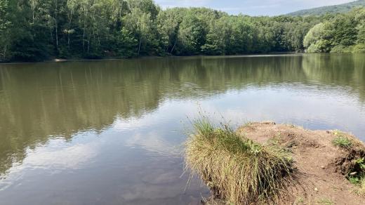 Přírodní koupaliště Varvažov na Ústecku