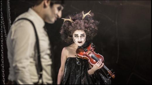 Utrpení knížete Sternenhocha