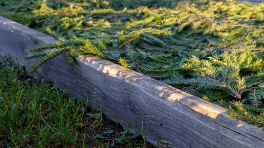 Zazimovaný bylinkový záhon