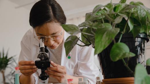 mikroskop, vědkyně, výzkumnice