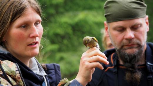 Odchyt ptáků a kroužkování, Pavel a Petra Hulvovi