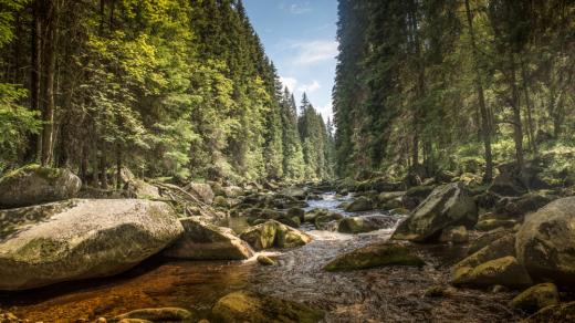 Řeka Vydra na Šumavě