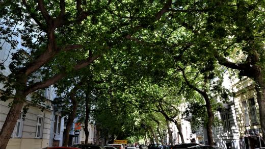 Lužická ulice na Praze 2