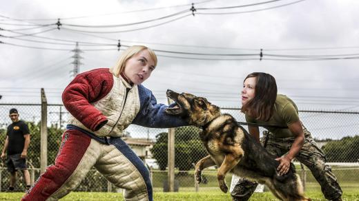 Psí buchty Ivana a Zuzana