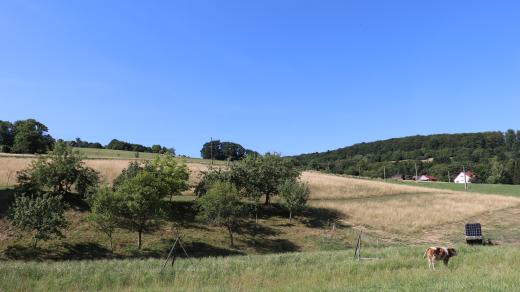 Vápenice, Moravské Kopanice