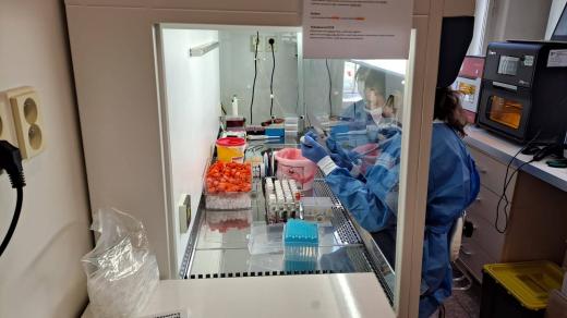 Pracoviště oddělení genetiky a molekulární diagnostiky liberecké nemocnice