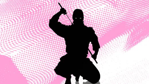 Mikrovlnky - ninja