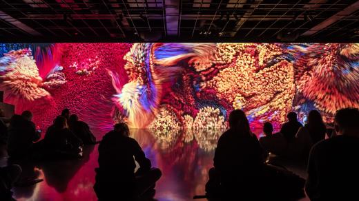 Signal festival 2022 Dušan Vondra