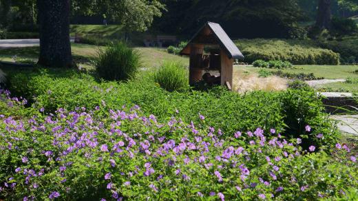 Pavel Chlouba za vás navštívil zahrady v Belgii, Holandsku a Německu