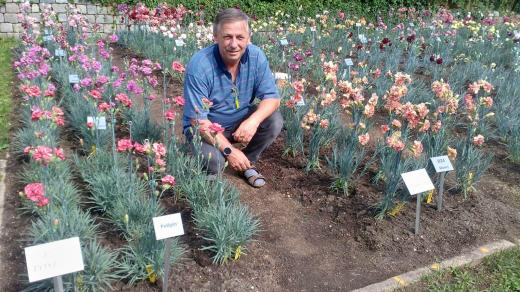 Předseda Pěstitelů klatovských karafiátů Peter Pošefka