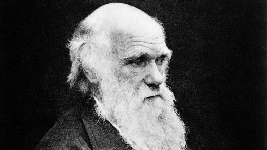 Charles Darwin