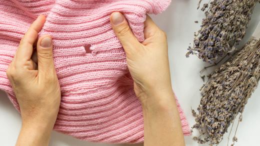 Kdo zničil váš oblíbený svetr? Byl to mol!