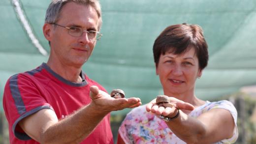 Michal a Helena Přikrylovi ze šnečí farmy