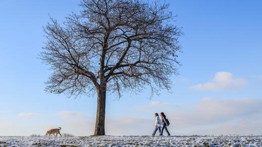 Procházka v zimě (ilustrační foto)