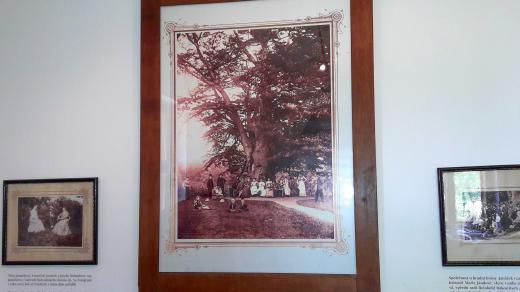 Naučná expozice fotografií a napodobenin originálů děl Leoše Janáčka