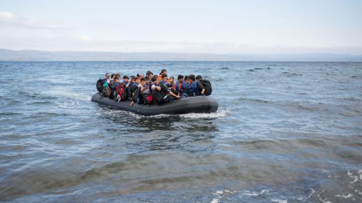 Migrace