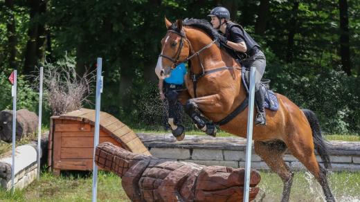 Policie ČR, jízdní policie, policejní sportovní hipologie
