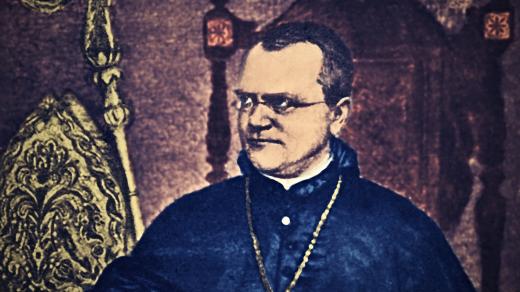 Gregor Johann Mendel
