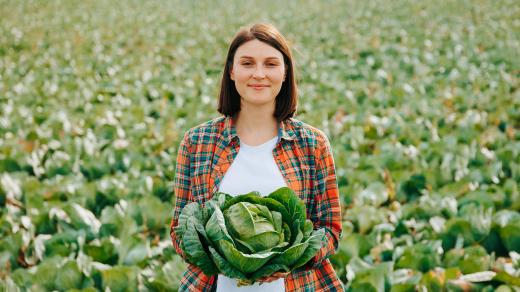 Počasí je důležité pro každého kdo něco pěstuje. Předvídat ho pomáhaly pranostiky