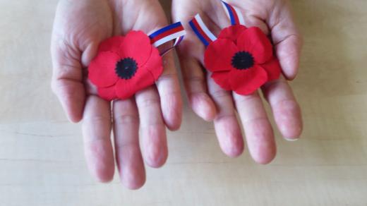 11. listopad se slaví Den válečných veteránů